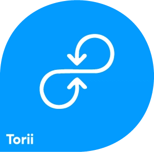 Logo representing Torii Importer for JSM Assets product